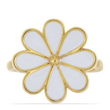  Arannyal Bevont Ezüst Gyűrű Tűzzománccal, Y50563/54 gyűrű