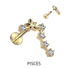  Arany Színű 316L Orvosi Acél Labret Piercing Halak Csillagjegy egyéb ékszer