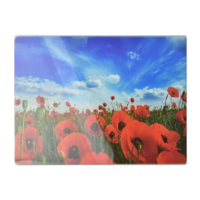 Aria üveglap 30x40cm konyhai eszköz