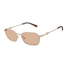 armani exchange AX2056S 612173 Matte Pale Gold Brown napszemüveg