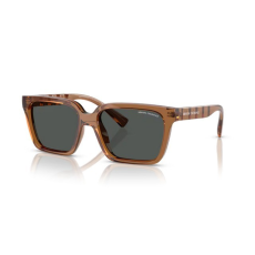 armani exchange AX4147S 835887 SHINY TRANSPARENT BROWN DARK GREY napszemüveg