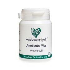 Armillaria Plus (450mg) 60db vitamin, táplálékkiegészítő kutyáknak
