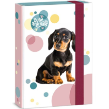 Ars Una : Cuki állatok – Tacskó kutyusos füzetbox A/5 füzetbox