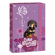Ars Una Cute Animals-Puppy 24 (5369) A4 füzetbox füzetbox