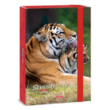Ars Una Füzetbox ARS UNA A/4 Serenity Tiger füzetbox
