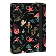 Ars Una Füzetbox ARS UNA A/4 Tahiti füzetbox