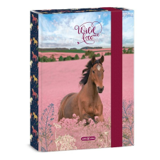 Ars Una Füzetbox ARS UNA A/5 Wild And Free füzetbox