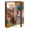 Ars Una Icons of the Wild-Giraffes 25 (5505) A4 füzetbox (ARS_UNA_50855056)