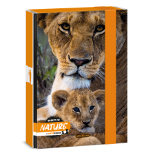 Ars Una máté bence-lion 24 (5433) a5 füzetbox 50864331 tankönyv
