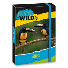 Ars Una Máté Bence toucan 5165 A5 füzetbox füzetbox