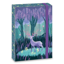 Ars Una Midnight Wish 5129 A4 füzetbox füzetbox