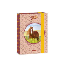 Ars Una : My Sweet Horse A5 füzetbox füzetbox