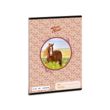 Ars Una : My sweet Horse lovas 2.osztályos vonalas füzet A/5 füzet