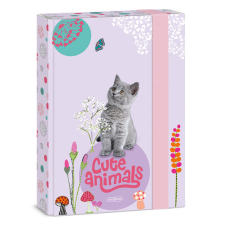 Ars Una Studio Kft. Ars Una A5 füzetbox Cute Animals-kitten (5368) 24 füzetbox