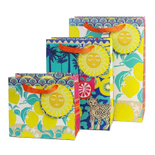 Artebene GmbH Artebene ajándéktasak (18x25x8 cm ) citrusos, Summer (6) ajándéktasak