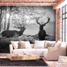Artgeist Fotótapéta - Deers in the Morning 400x280 grafika, keretezett kép