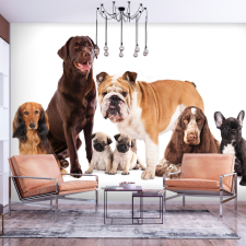 Artgeist Fotótapéta - Dog Integration 250x175 grafika, keretezett kép