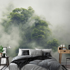Artgeist Fotótapéta - Foggy Amazon 100x70 tapéta, díszléc és más dekoráció