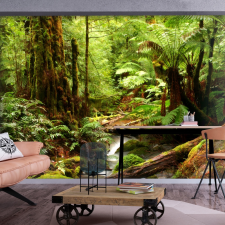 Artgeist Fotótapéta - Forest Brook 400x280 tapéta, díszléc és más dekoráció