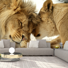 Artgeist Fotótapéta - Lion Tenderness 450x315 grafika, keretezett kép