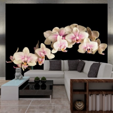 Artgeist Fotótapéta - Virágzó orchidea tapéta, díszléc és más dekoráció