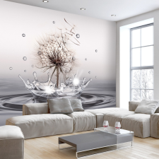 Artgeist Fotótapéta - Wind Drops 100x70 tapéta, díszléc és más dekoráció