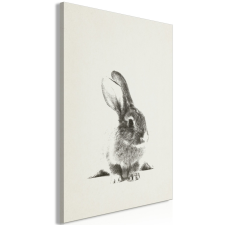 Artgeist Kép - Fluffy Bunny (1 Part) Vertical 40x60 grafika, keretezett kép