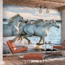 Artgeist Öntapadó fotótapéta - Wild Race 441x315 grafika, keretezett kép