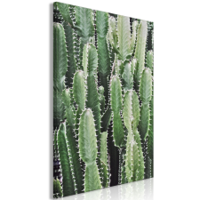Artgeist Vászonkép - Cactus Garden (1 Part) Vertical 80x120 grafika, keretezett kép