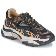 Ash Rövid szárú edzőcipők ADDICT Fekete 37