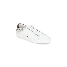 Ash Rövid szárú edzőcipők DAZED Fehér 37 női cipő