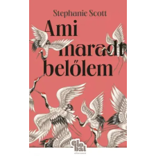 Athenaeum Ami maradt belőlem egyéb e-könyv