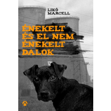 Athenaeum Énekelt és el nem énekelt dalok egyéb e-könyv