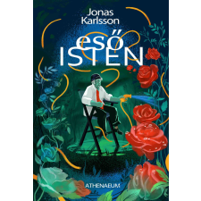 Athenaeum Esőisten - Kerti mese regény