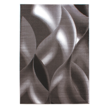 Ay PLUS 8008 140 x 200 cm barna Modern szőnyeg lakástextília