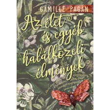 Az élet, és egyéb halálközeli élmények regény