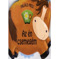 AZ ÉN CSEMEGÉM - TALÁLD MEG! gyermek- és ifjúsági könyv