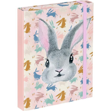 BAAGL iskolai füzetekhez A5 Bunny füzetbox
