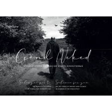 Baán Izsák - Csönd Neked egyéb könyv