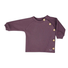 Baba póló hosszú ujjú Koala Pure purple, vel. 62 (3-6 h) gyerek póló