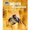 Babilon Kiadó Méhek és darazsak - Aranyló méz és hegyes fullánkok - Mi Micsoda (B)