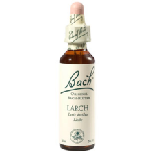 Bach Nr.19. Larch virágesszencia 20ml vitamin és táplálékkiegészítő