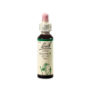 Bach original virágeszenciák Bach Walnut eszencia 20ml