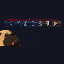 Back To Basics Gaming Super Space Pug (PC - Steam elektronikus játék licensz) videójáték