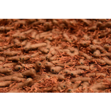  Bakero Shaggy Goa cooper Szőnyeg (140x200 cm) lakástextília