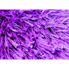 Bakero Shaggy Shrubs 04 purple (200x300 cm) lakástextília