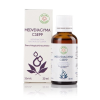Bálint cseppek BÁLINT MEDVEHAGYMA CSEPP 30 ML