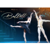  Ballett Kalender 2026 (Kalendář/Diář)