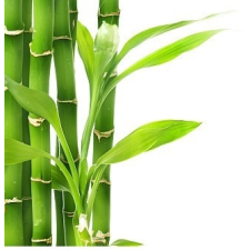  Bambuszrost liszt 1kg Paleolit alapvető élelmiszer