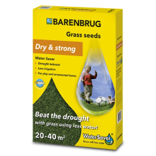 Barenbrug Barenbrug Water Saver (szárazságtűrő) fűmag 1kg fűmag